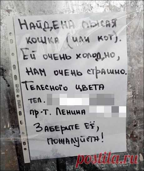 Надписи на ценниках, реклама, объявления — всё самое смешное в этой подборке | Чёрт побери