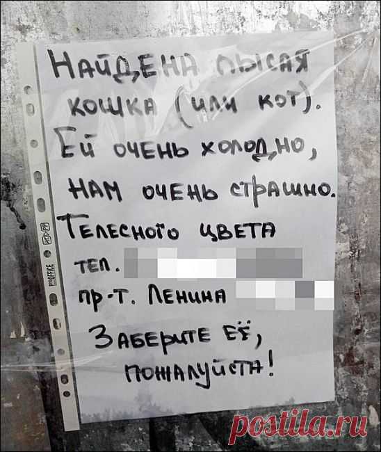 Надписи на ценниках, реклама, объявления — всё самое смешное в этой подборке | Чёрт побери