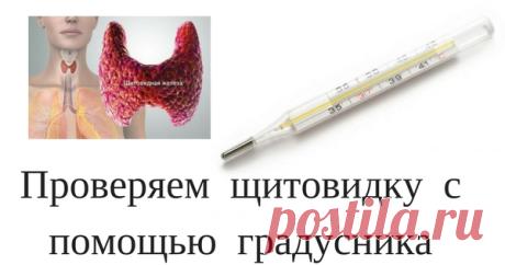 Чтобы проверить свою щитовидку, нужен только градусник! Супер! Не знала! • Mirumira.ru