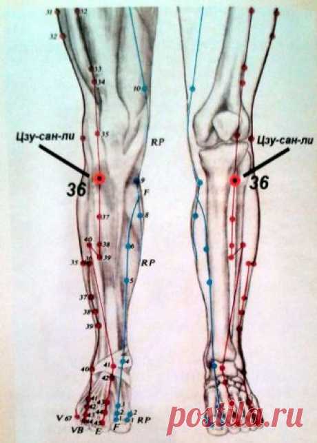 Лечение 100 болезней: 3 точки ВЕЧНОЙ МОЛОДОСТИ
