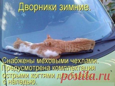 Еще больше в нашей группе