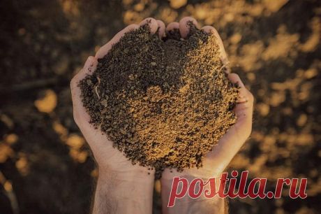 10 важных вопросов о натуральных удобрениях