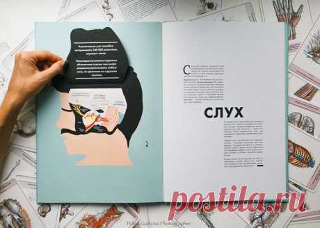 Чем полезна книга &quot;Анатомия&quot;? Ее можно читать с детьми от 8 лет. Младшие школьники с удовольствием рассматривают картинки, играют с клапанами. Старшие самостоятельно читают текст и сопоставляют его с иллюстрациями. Книга не только расскажет об организме — она будет полезной и в другом плане: 1. Увлечет анатомией. В нашем теле каждую минуту происходят тысячи процессов. Яркие иллюстрации и любопытные факты покажут, как удивителен человек. 2. Подготовит к школьным занятиям.…