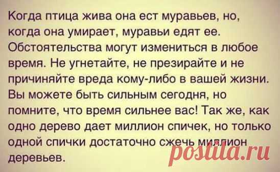 (70) Одноклассники