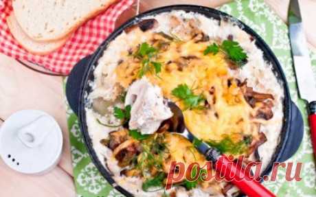 Рыбные блюда · Все — MEGOCOOKER