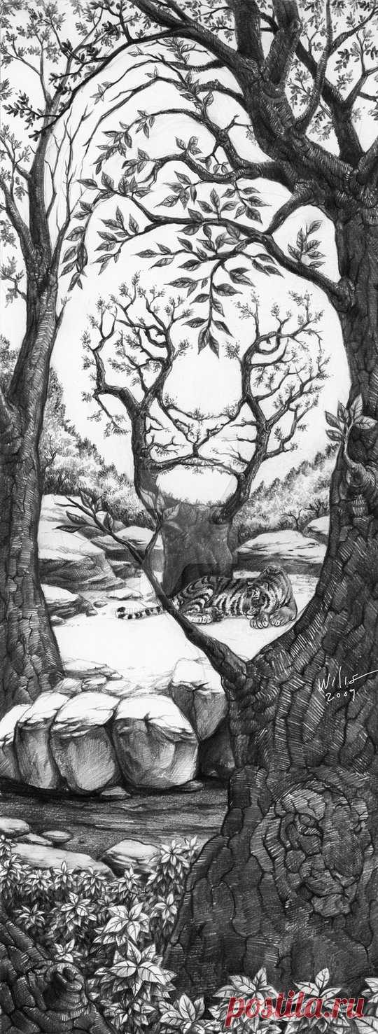 The Sleeping Tiger tiger woods ( a tiger shaping woods ) just for fun.....how many tigers are in this scene? can u locate them? 15x42cm pencils, 2B, 5B, 8B first of all, i'd like to thank everybody who love, adore an...