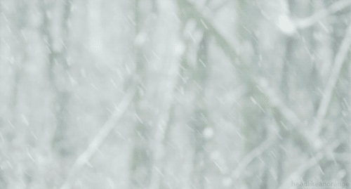 Найдено на GIFER Миллионы гифок на любой случай!