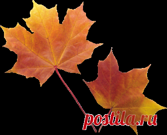 Картинки на прозрачном фоне и png для фотошопа