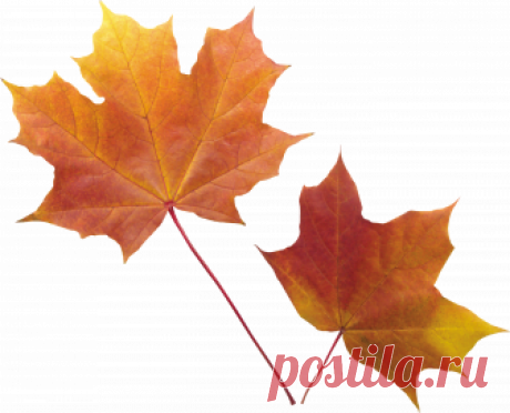 Картинки на прозрачном фоне и png для фотошопа