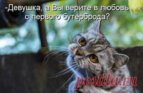 Мой Мир@Mail.Ru