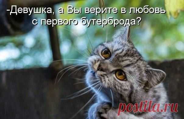 Мой Мир@Mail.Ru