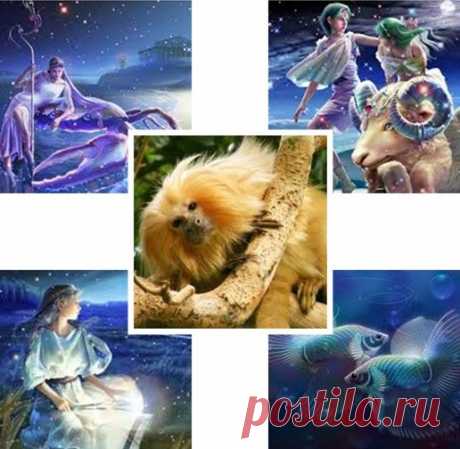 Качество жизни