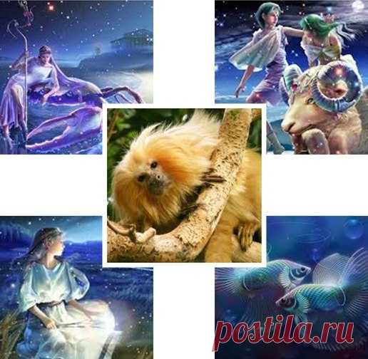 Качество жизни