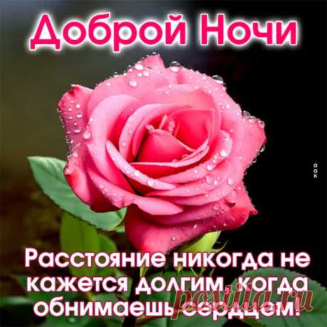 Добрых снов тебе желаю,
Нежно-нежно обнимаю.
Спи ты сладко, не крутись,
Сном чудесным насладись.