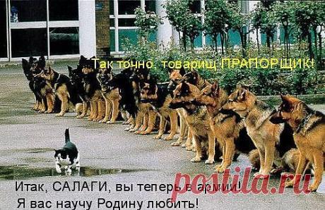 Сакаледа — «0_2e68e_13ca5400_L.jpg» на Яндекс.Фотках