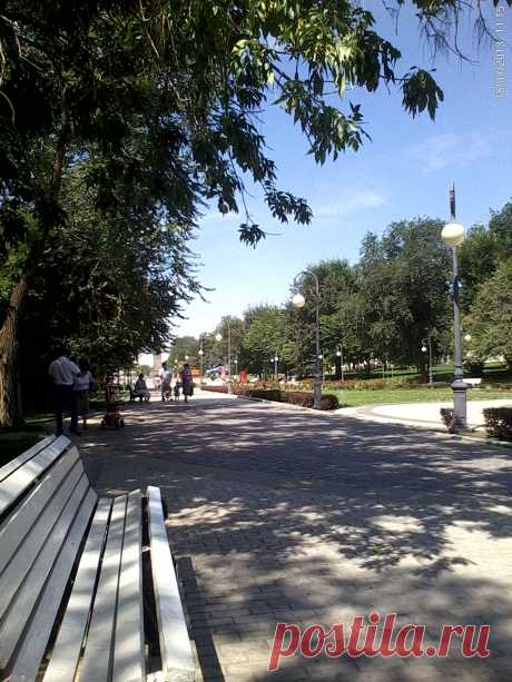 Лето. Астрахань.