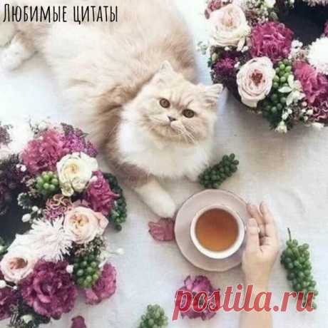 Утро очень важное время! От него зависит настрой на весь день. Пусть Ваше утро будет волшебным, а день добрым!

Любимые цитаты