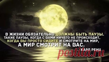 Почему в жизни происходит так как происходит...Стэйси Джеймс
 Величайший вопрос о существовании зла - "Почему Бог не предотвратит его?"