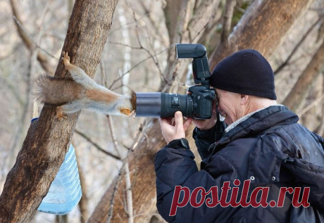 Удивительные фотографии со всего мира.