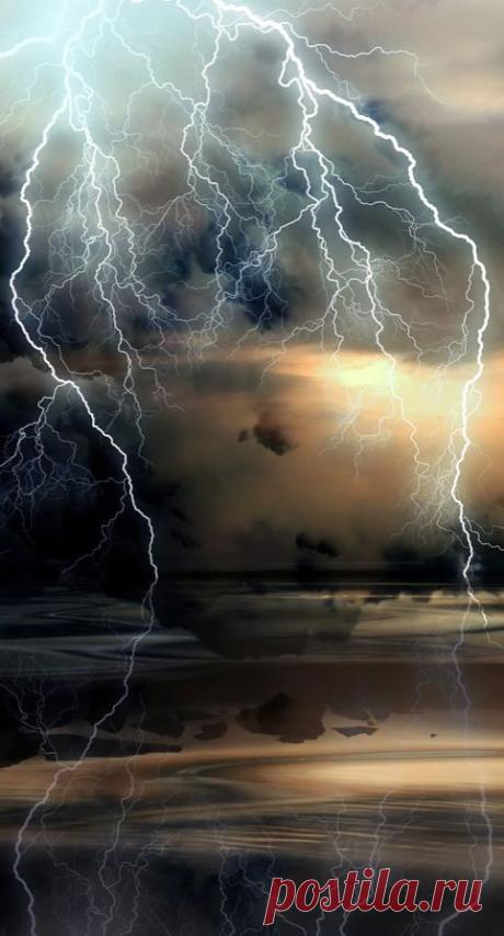 Amazing | Nature's Furry