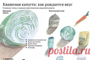 Квашеная капуста: рождение вкуса Sputnik Беларусь говорит то, о чем другие молчат