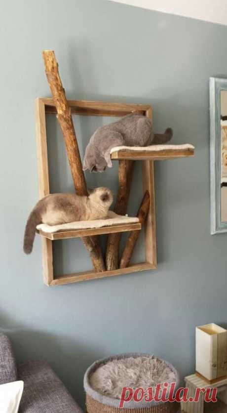 Кошачья полка