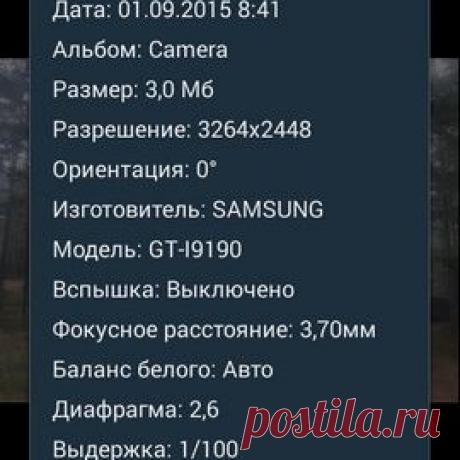 Отображение даты на фотографиях и другие теги - Сказки Старого Юзера