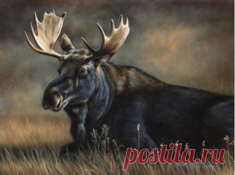 Отметьте свой календарь.. Шоу в Миннесоте, Флориде и Техасе | Картины дикой природы и природы Ребекки Лэтэм