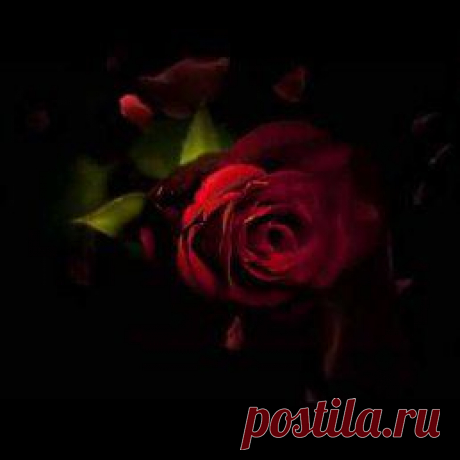 Интересные новости — лучшее