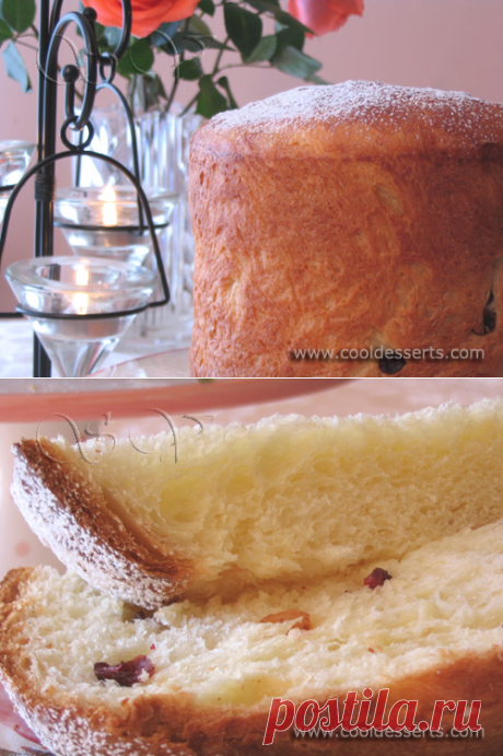 Панеттоне (Panettone) от Мишель