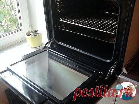 Быстро и просто очищаем духовку от нагара 

Материалы и ингредиенты: 
- ¼ ст. жидкости для мытья посуды 
- 0,5 ст. пищевой соды 
- ¼ ст. перекиси водорода 
- цедра лимона 
- 1 ст. л. уксуса 
- губка для мытья посуды 
- бумажные полотенца 

Инструкция: 

1. Даже если речь идёт о многолетнем нагаре, простое средство поможет справиться даже с ним. Начать нужно с обычной мыльной воды и губки, которую обязательно часто ополаскивает. Это поможет избавиться от основной грязи. 
2....