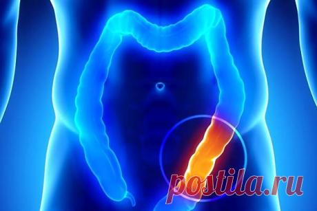 БОЛЕЕ 90% ЗАБОЛЕВАНИЙ СВЯЗАНЫ С НЕУМЕНИЕМ ПРАВИЛЬНО ОЧИЩАТЬ КИШЕЧНИК! Многие люди даже не подозревают, что около 90% заболеваний, а также проблемы с весом связаны именно с загрязнением кишечника. Ведь этот орган играет очень важную роль в нашем организме: он отвечает за выведение всех отходов, токсинов и шлаков, в которых тело более не нуждается



, если же они п