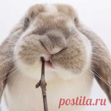 Быть ему затисканным)))