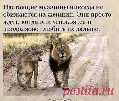 (99) Одноклассники