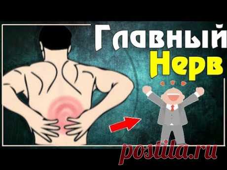 Приструнить СЕДАЛИЩНЫЙ НЕРВ и Вернуть Гибкость ПОЯСНИЦЕ. Одно простое упражнение!