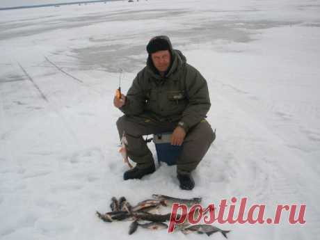 Виталий Воронков на Postila.ru