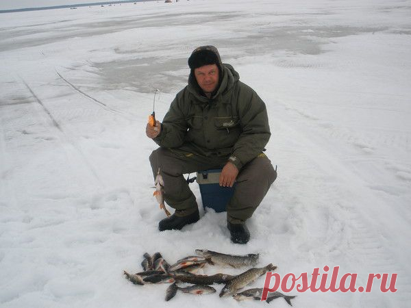 Виталий Воронков на Postila.ru