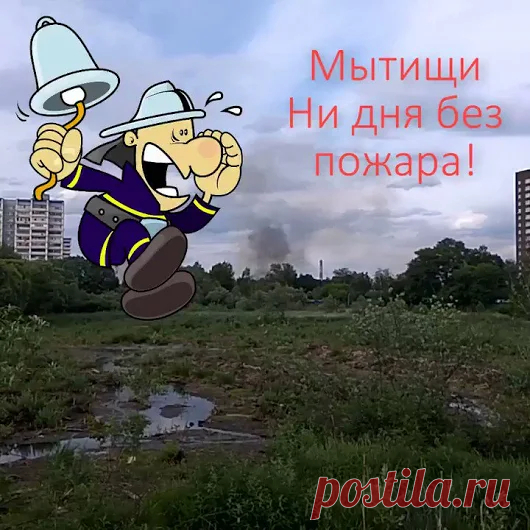Google+