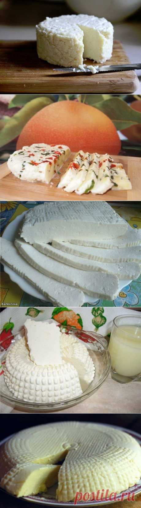 ТОР - 14 Подборка вкусных домашних сыров! | thePO.ST