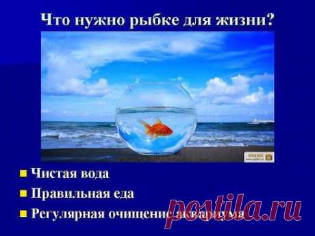 Одноклассники