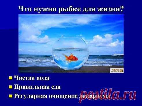 Одноклассники