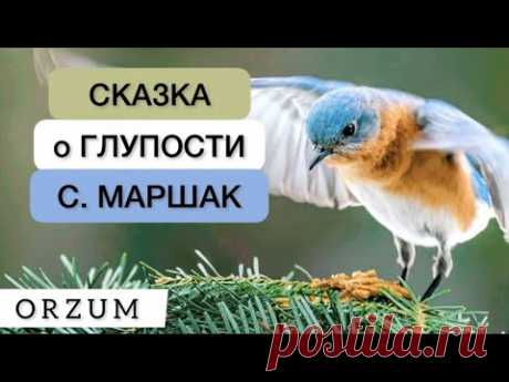 Этот гениальный стих необходимо знать каждому! Стихи со смыслом - Сказка о глупости. Самуил Маршак