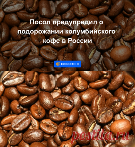 Посол предупредил о ПОДОРОЖАНИИ колумбийского КОФЕ в России - 12 ноября 2022 | Новости Mail.ru