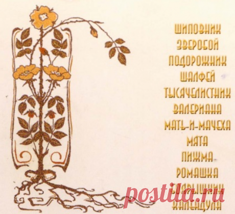 Буклет "Лекарственные растения". Вышивка крестом, схемы