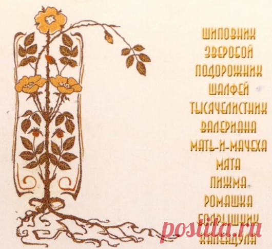 Буклет 