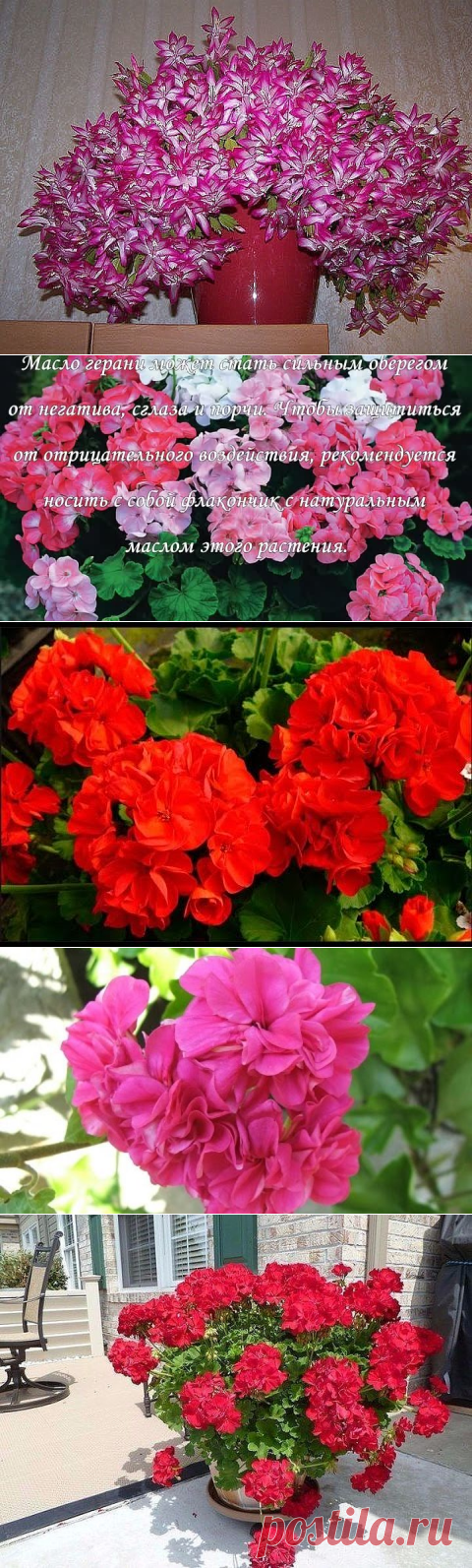 (2) Одноклассники