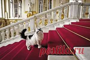 Умному, храброму и сильному нечему учиться у глупого, трусливого и слабого. С теми, кто про это забывает, случаются вот такие неприятные истории.