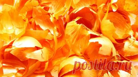 Полезные советы дачникам: Секреты черенков, какую пользу несут отходы