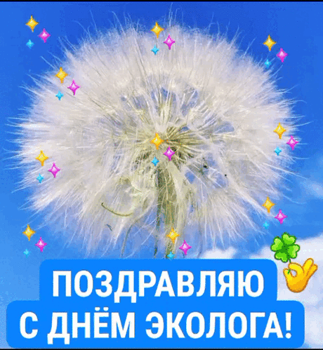 Всех экологов сегодня поздравляем
Вам в работе — лишь успехов,
В личной жизни — всё на «пять»,
И здоровье — на «отлично»,
И друзей не потерять!
© https://pozdravok.com/pozdravleniya/prazdniki/den-ekologa/stih.htm