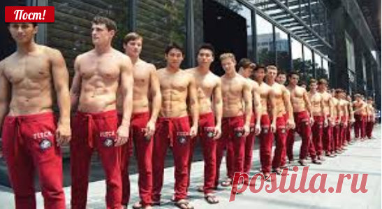 «Магазин мужей» – притча о том, как девушки выбирают себе спутника жизни — Планета и человек